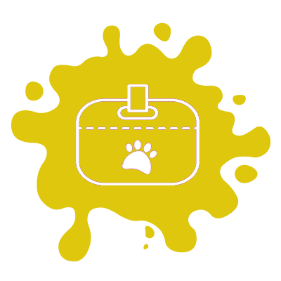 hotel-de-gatos-em-osasco-vila-anima-cat-splash-hotel-de-gatos